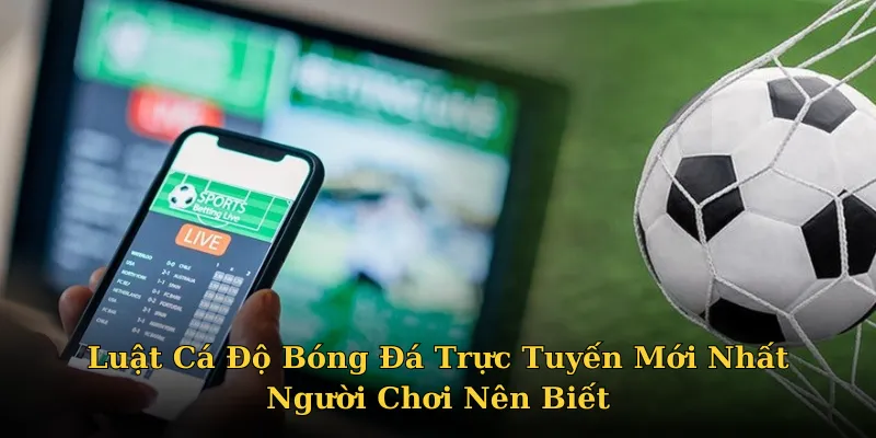 luật cá độ bóng đá